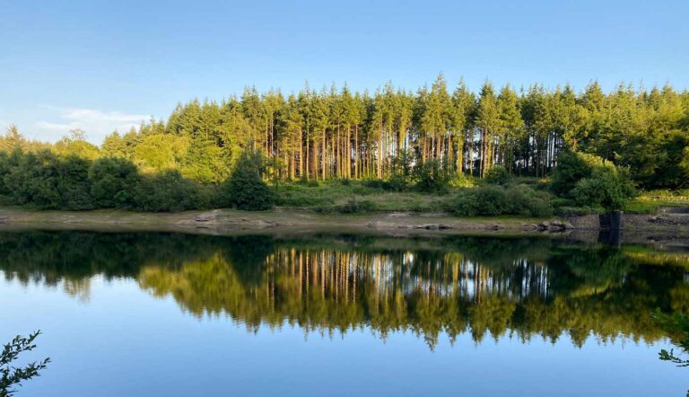 Dartmoor summer