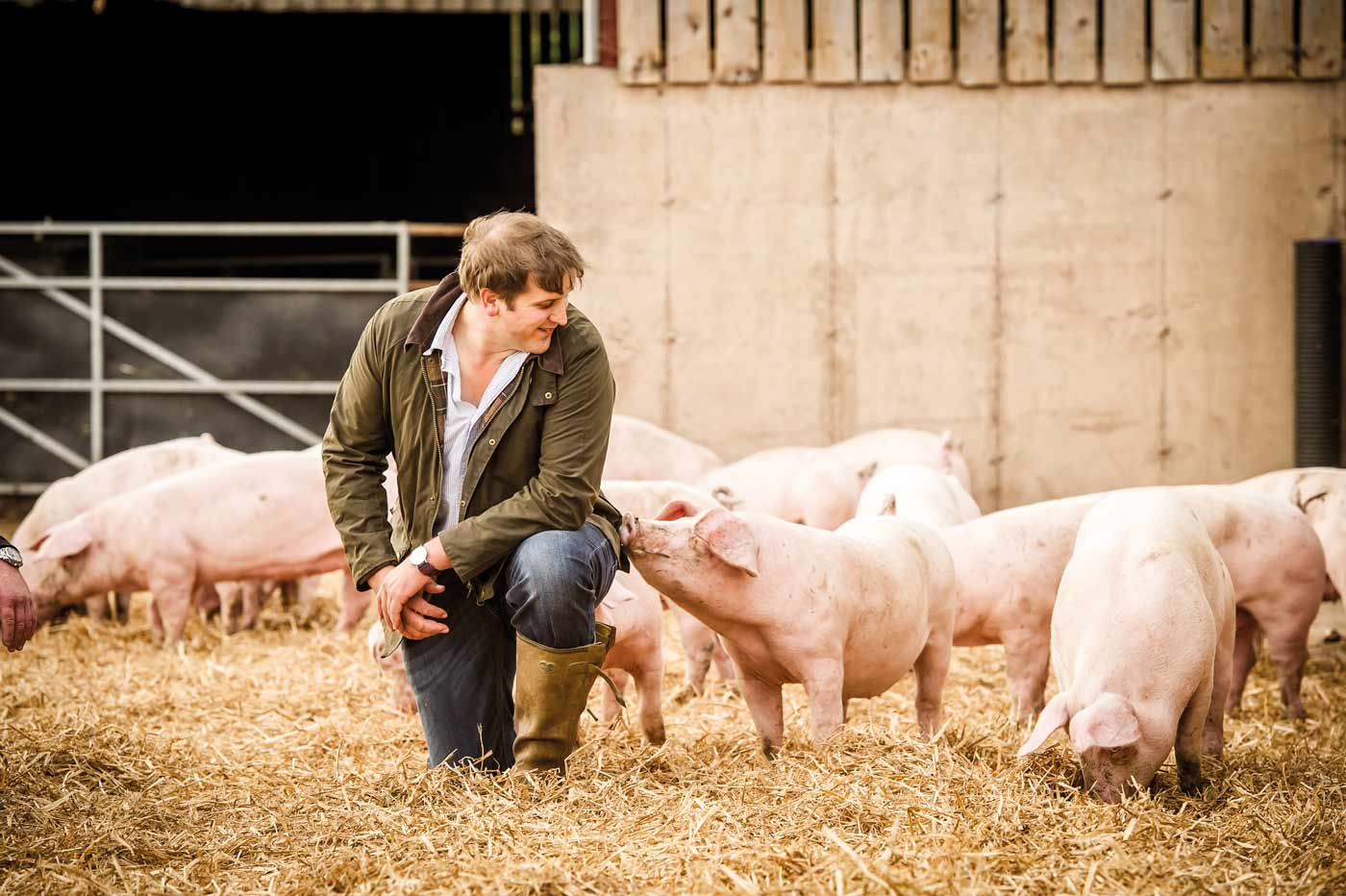 Pig farmer Tom Lockwood