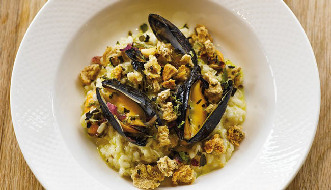 Mussel risotto