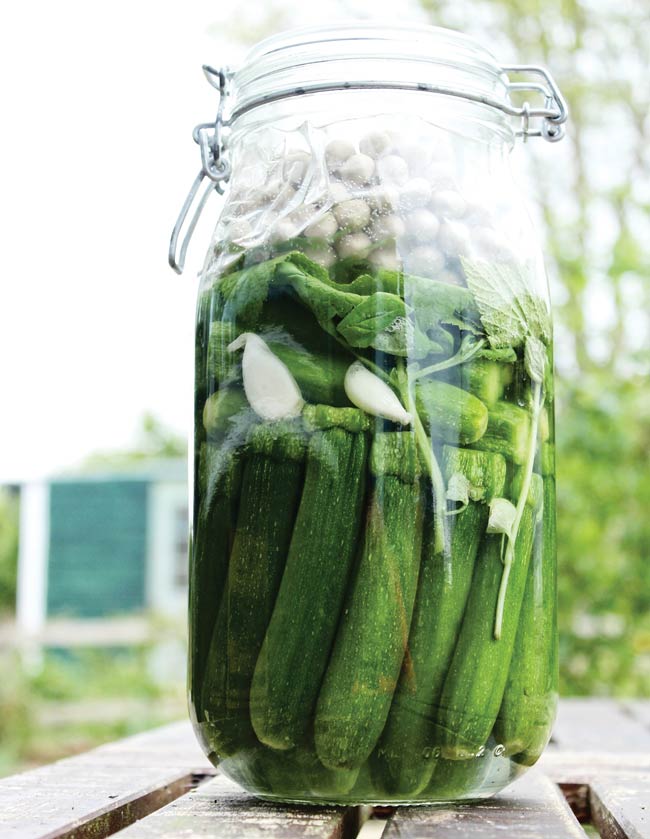 Pickled baby courgettes