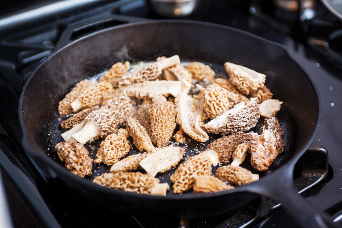 Morels in a pan