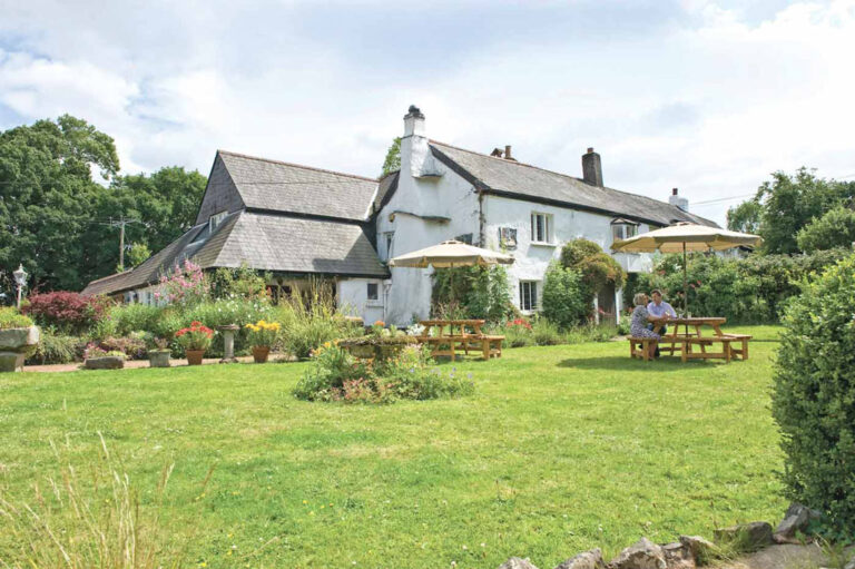 South West beer gardens