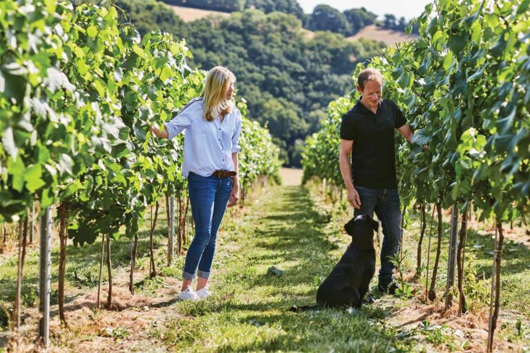 South West wineries - Swanaford Estate