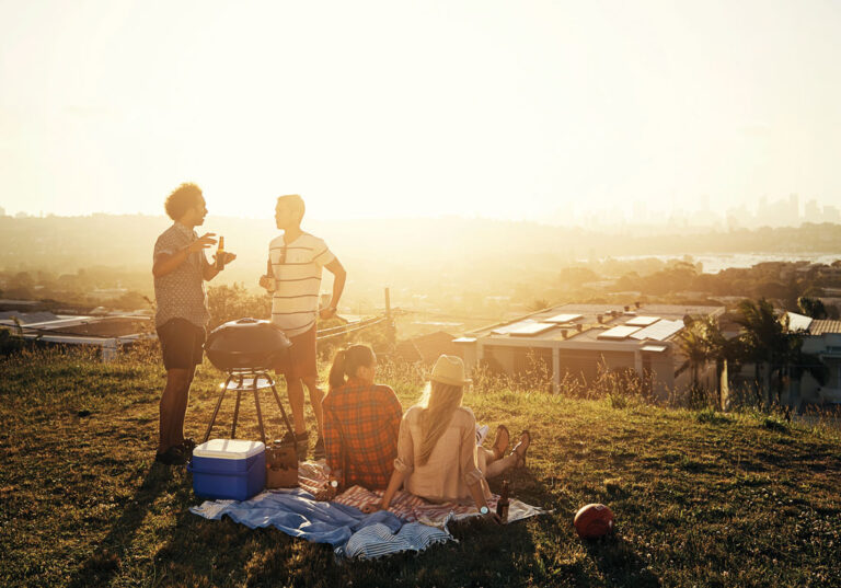 Picnic beers