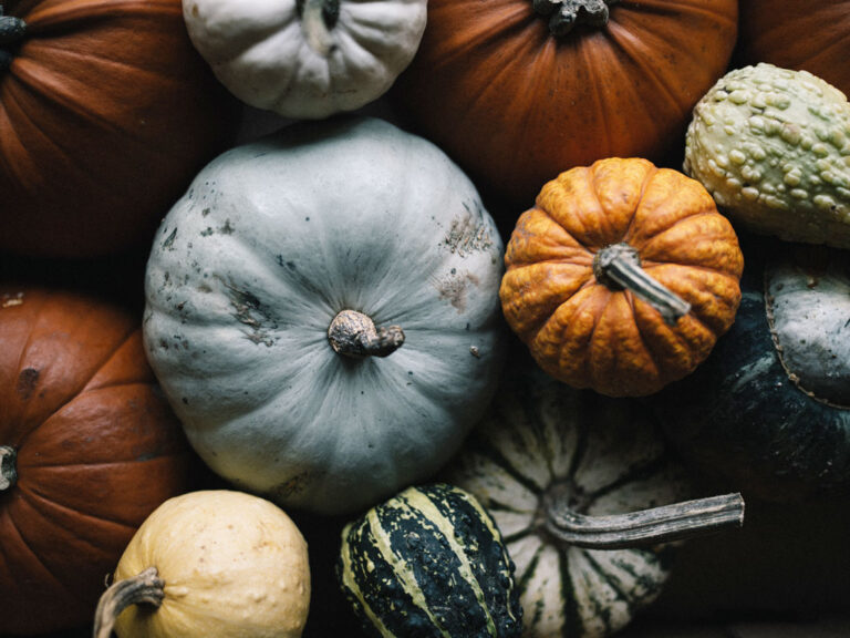Seasonal squash