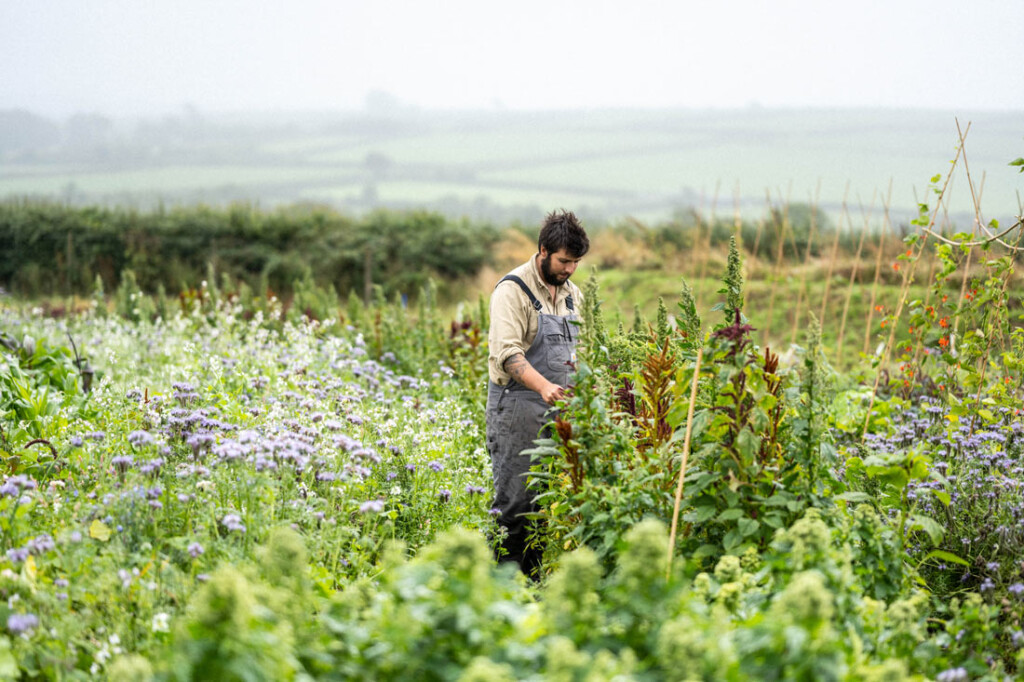 Gardener at Woolsery, Devon