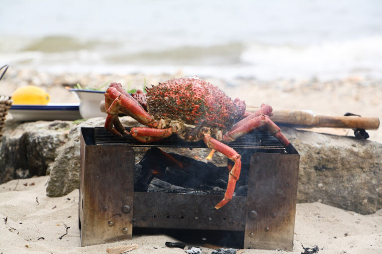 next-gen cookery schools, Fore Adventure