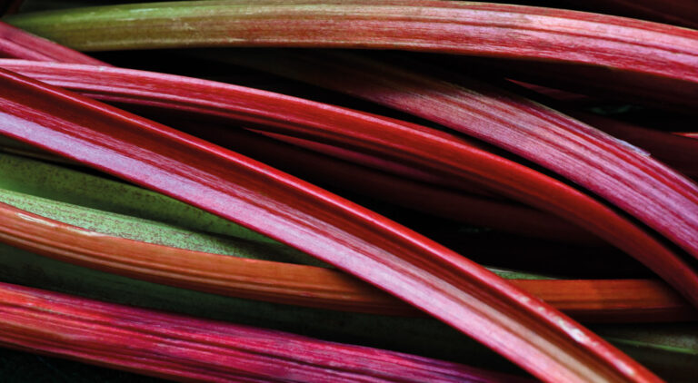 Rhubarb