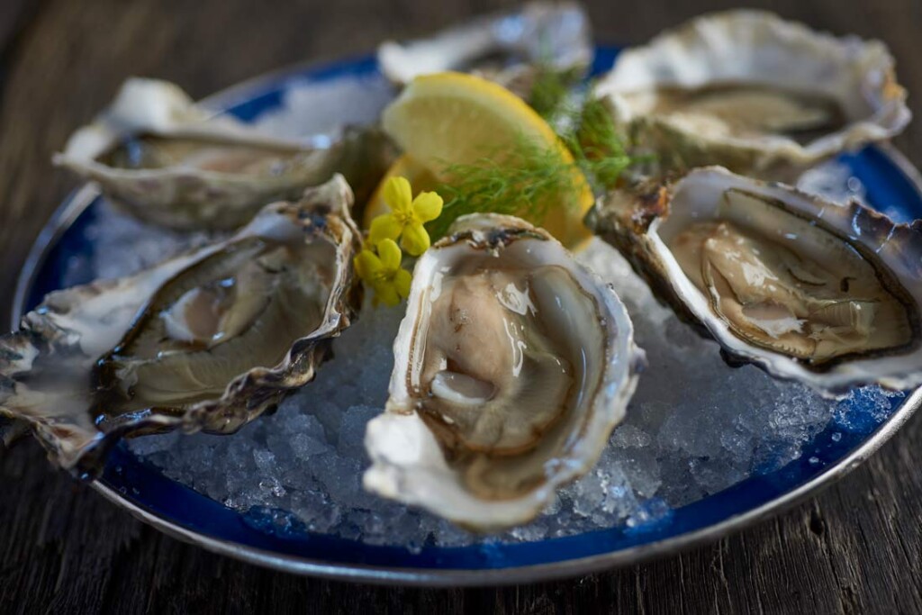 Crab House Cafe oysters