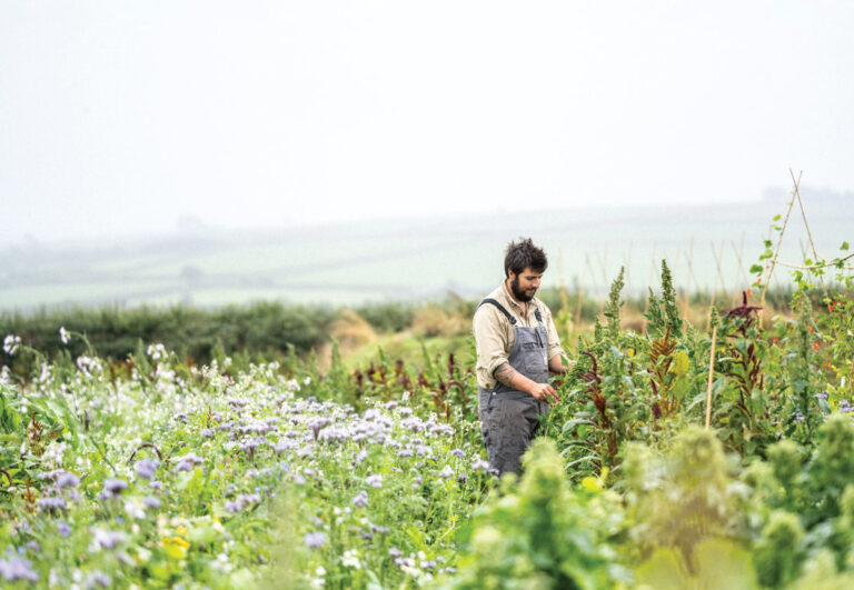 Regenerative farming - Josh Sparkes at Woolsery in north Devon