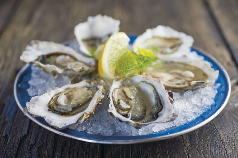 Oysters