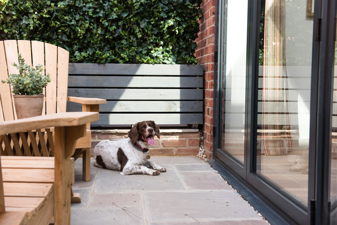 The Eastbury Hotel, 5 of the best dog-friendly places to stay in the South West