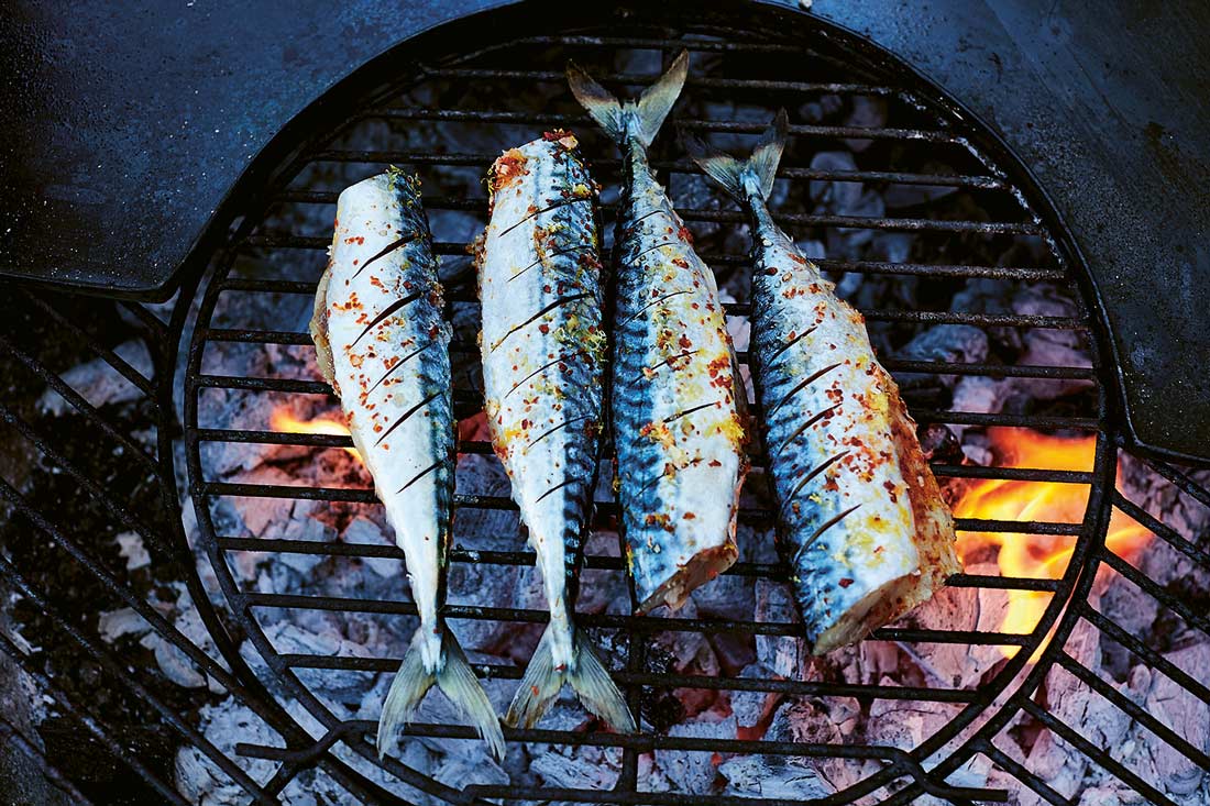 fish cooking over coals