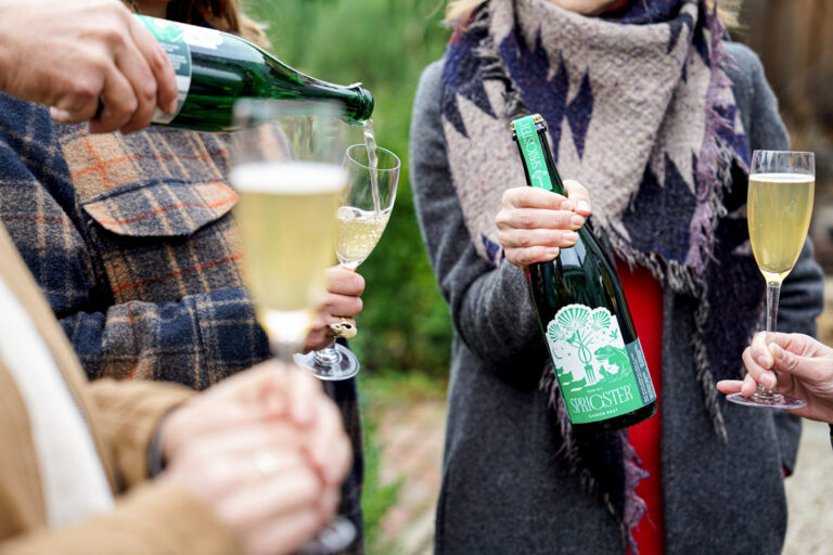 alcohol-free drinks including Garden Brut by Sprigster