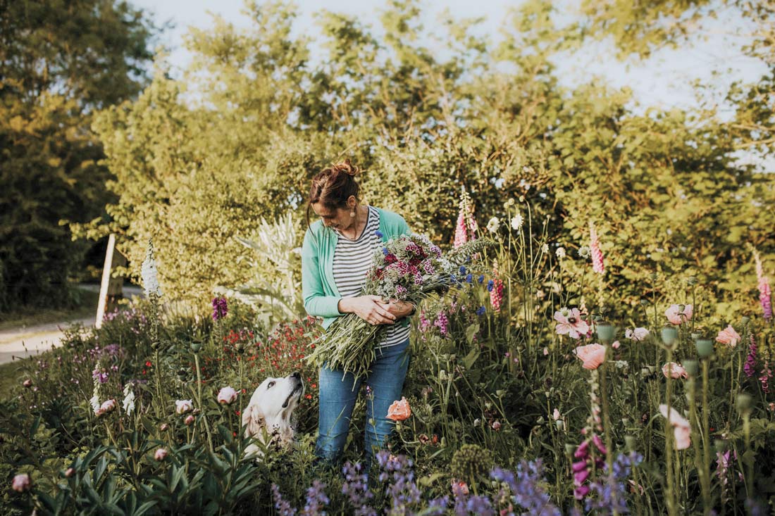 Dorset Flower Co