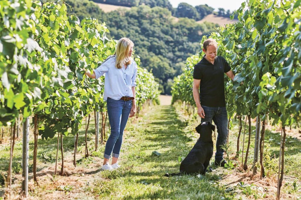 couple with dog standing in devon vineyard