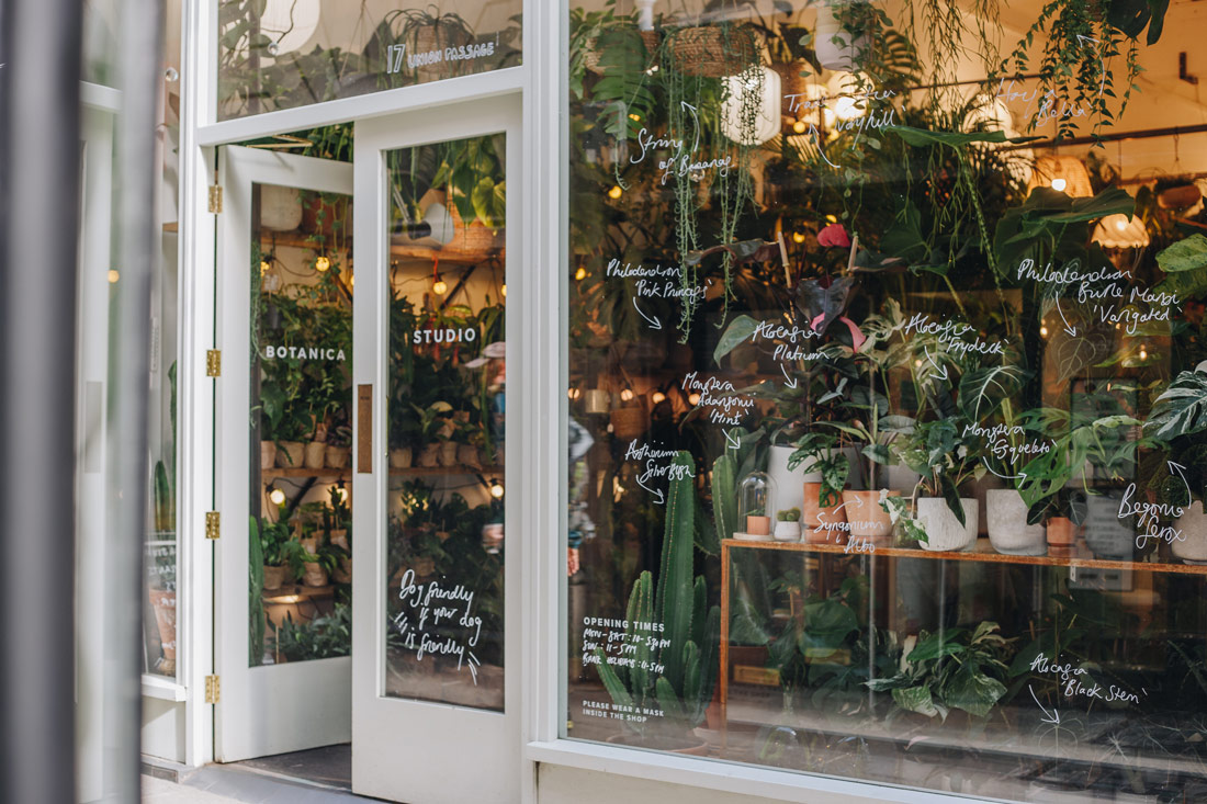 Botanica Studio, 5 of the best houseplant shops