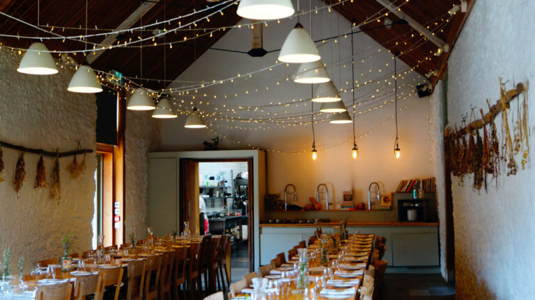 River Cottage, forage-led dining experiences