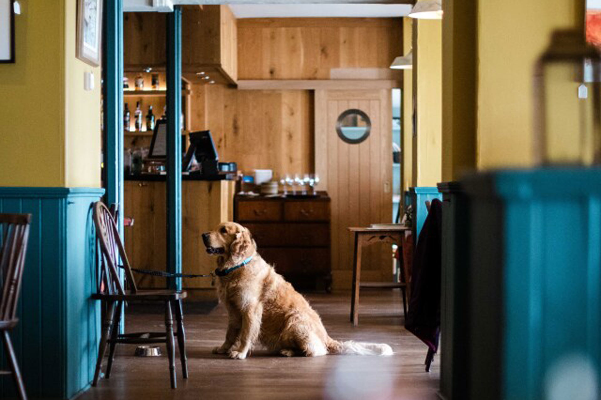 Old Coastguard dog-friendly pub